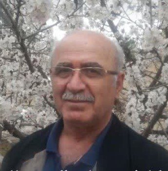 شرکت سره سازون-علی اکبر صالحی هیکویی